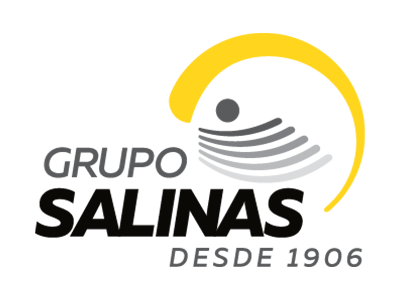 Grupo Salinas